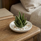 Ceramic Aloe Vera Succulent Ring Holder and Jewelry Dish