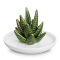 Ceramic Aloe Vera Succulent Ring Holder and Jewelry Dish