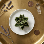 Ceramic Aloe Vera Succulent Ring Holder and Jewelry Dish